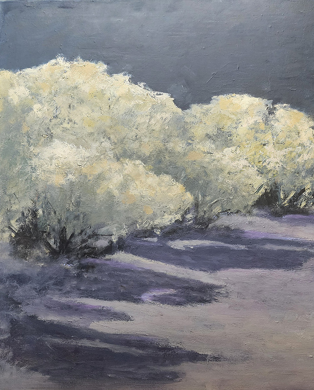 Near Santa Fe