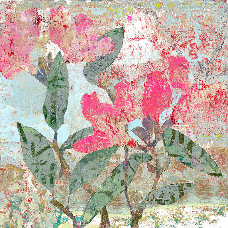 Rhododendron #2