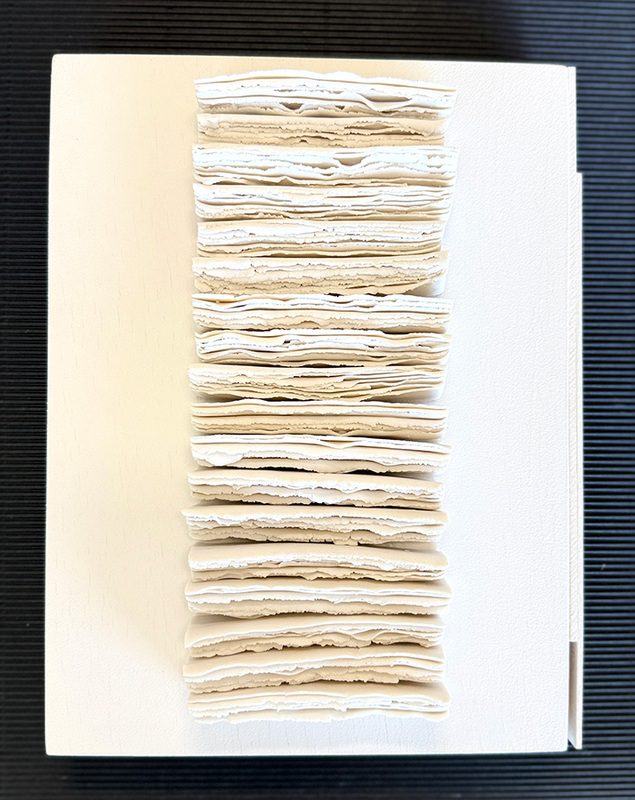 Joan Rosenberg-Dent