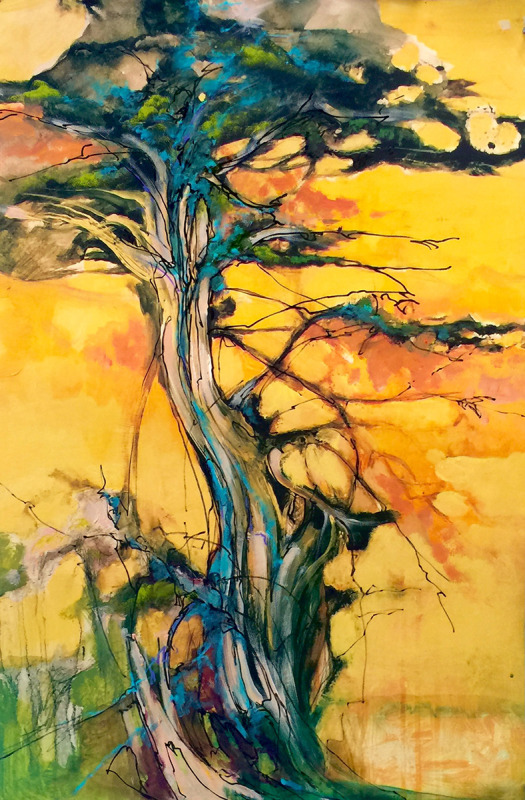 Blue spruce coast