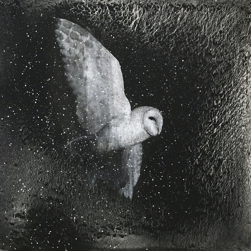 Night Flight