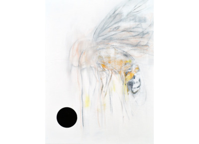 Fly